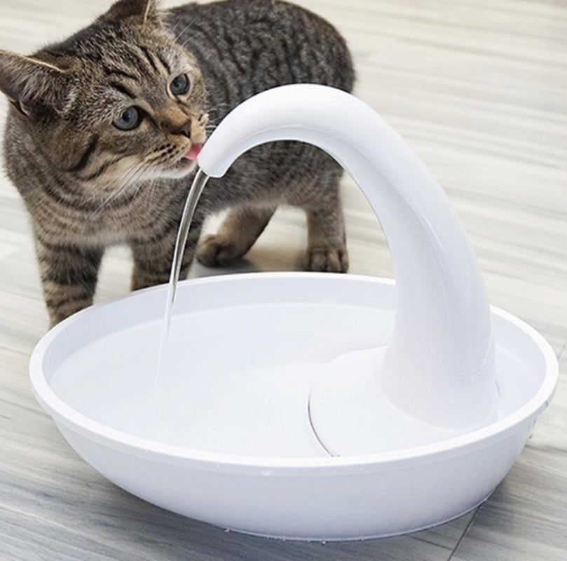 12V Silent Pet Water Fountain with Filter, 1.8L Capacity