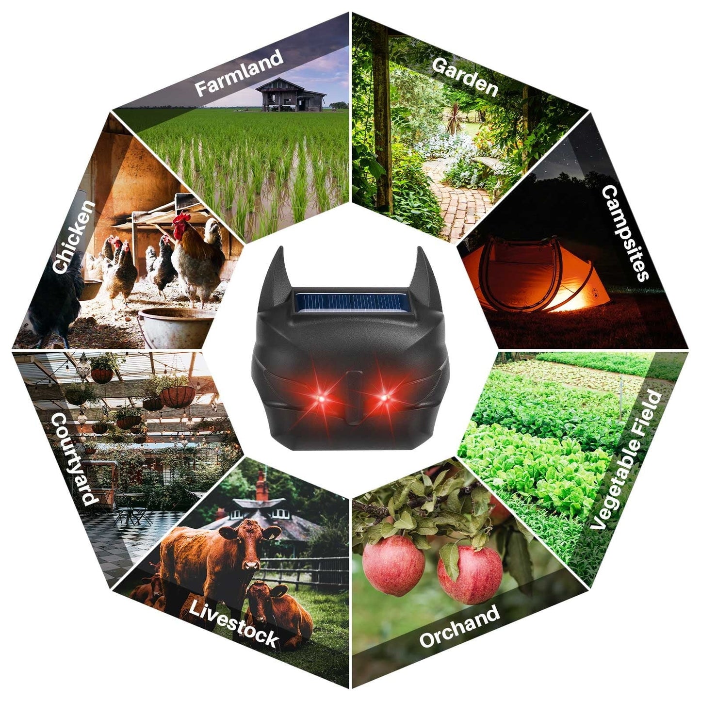 Ultrasonic Solar Animal Repeller for Outdoor Use with Motion Sensor Light