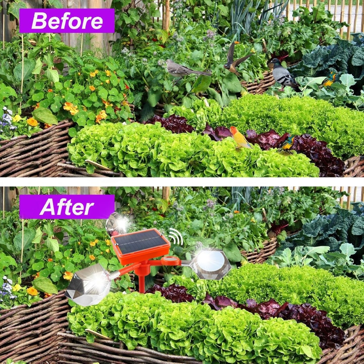 Solar Bird Repeller Reflective Bird Deterrent for Garden with 360-Degree Reflector and Waterproof Design