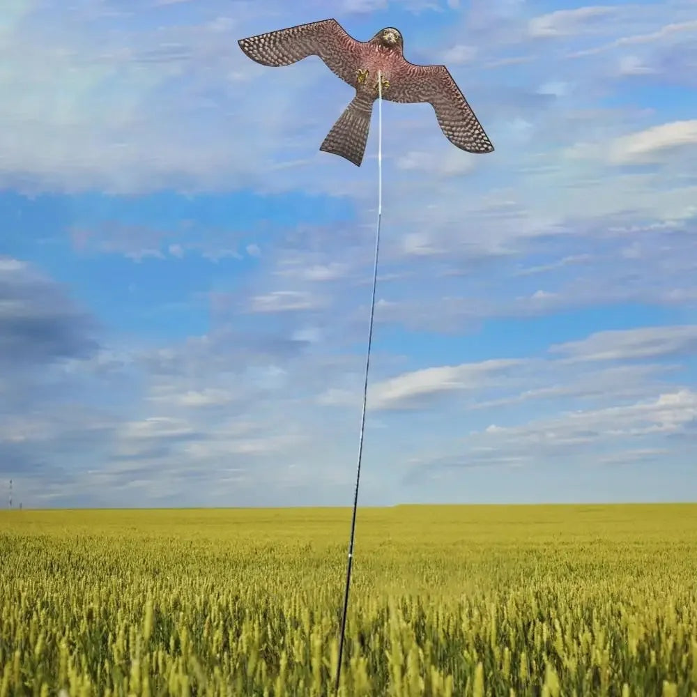 Realistic Eagle Kite Bird Repellent for Gardens