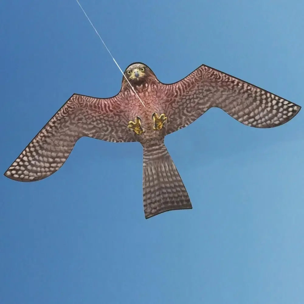 Realistic Eagle Kite Bird Repellent for Gardens