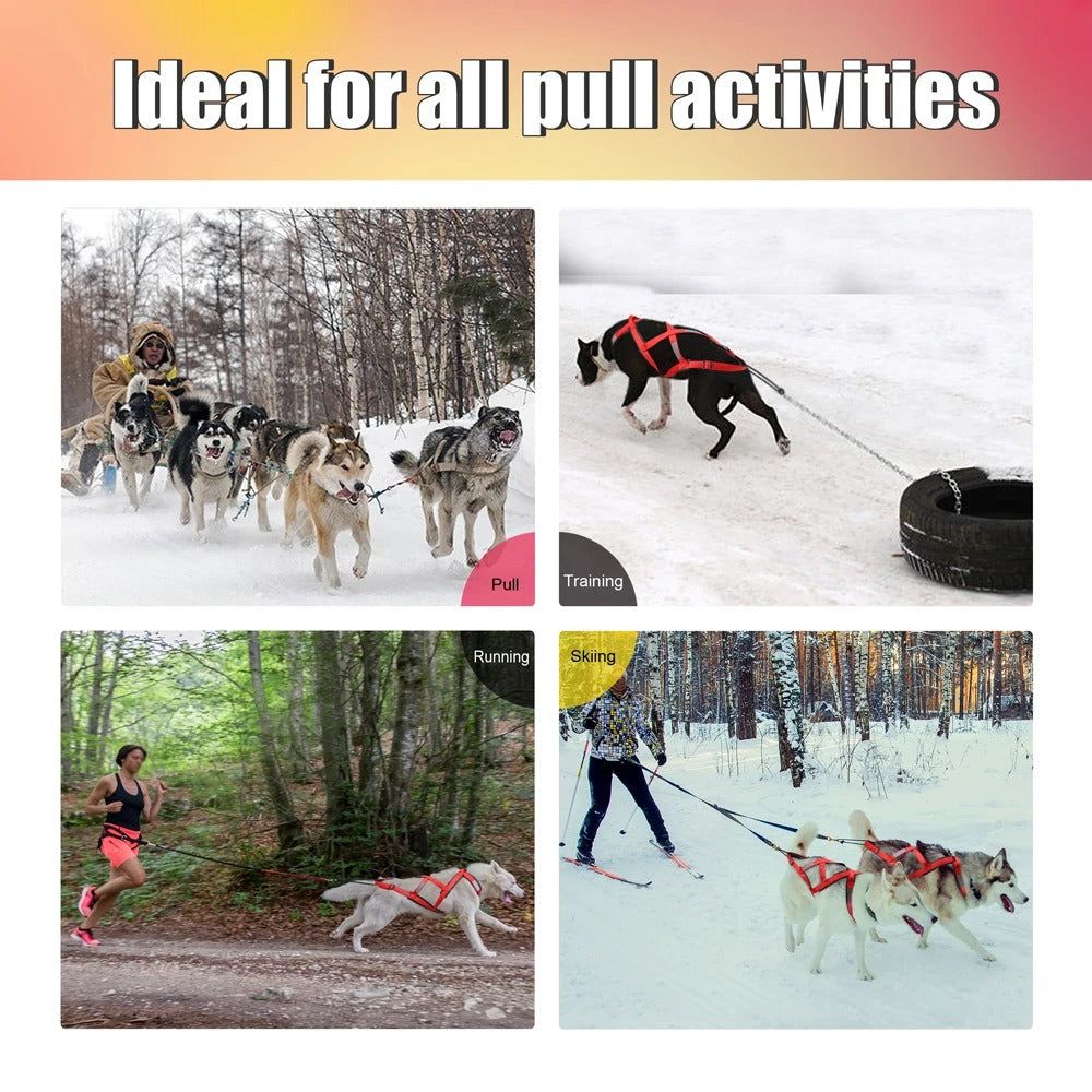 X-Back Dog Sled Harness for Husky Pulling Sports