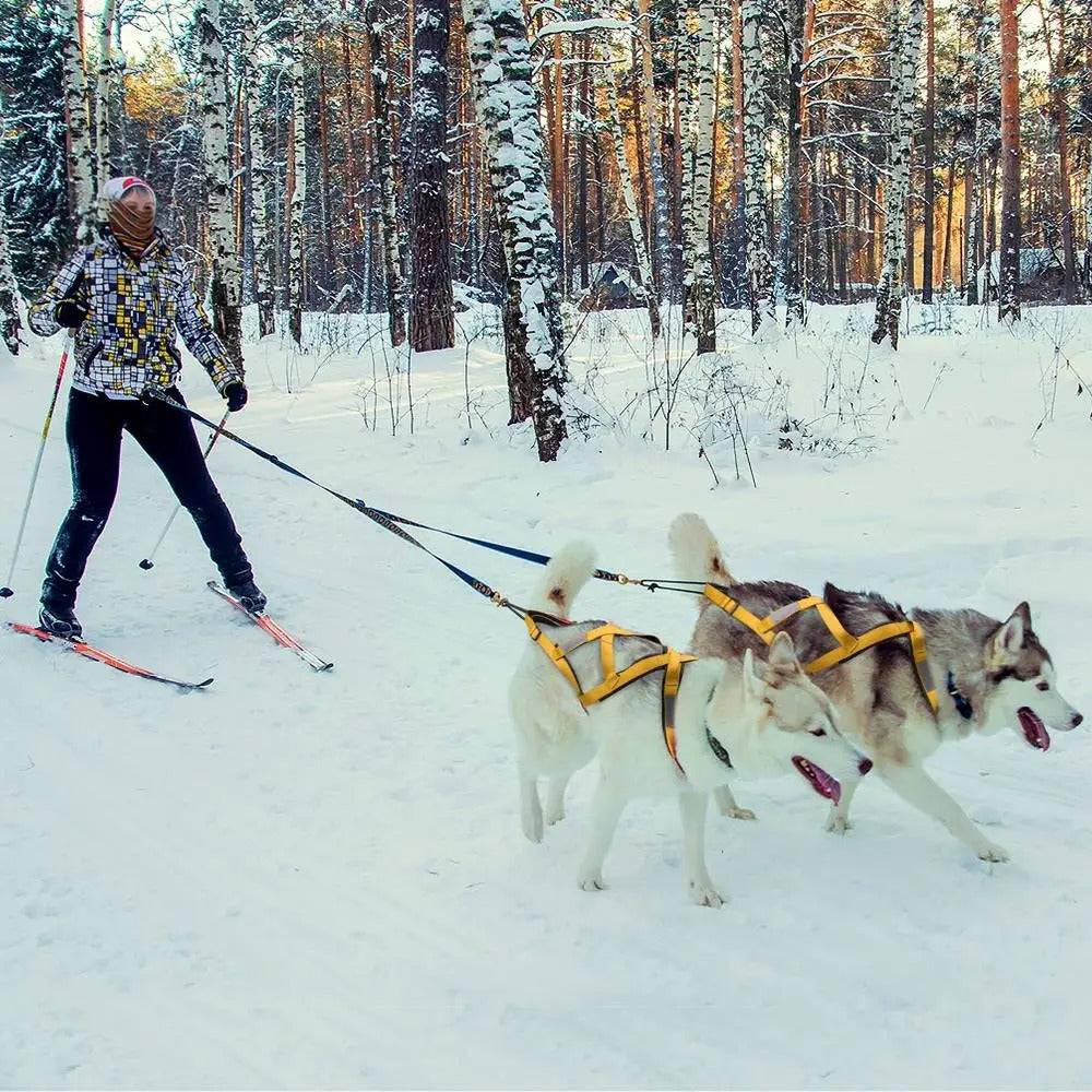 X-Back Dog Sled Harness for Husky Pulling Sports