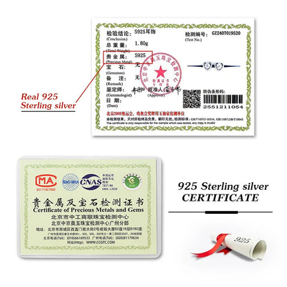 Valentines Gifts For Her Heart Halo Moissanite Stud Earrings