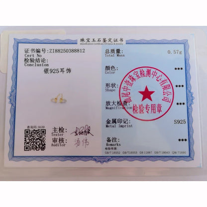 Valentines Gifts For Her 925 Sterling Silver Zircon Heart Stud Earrings