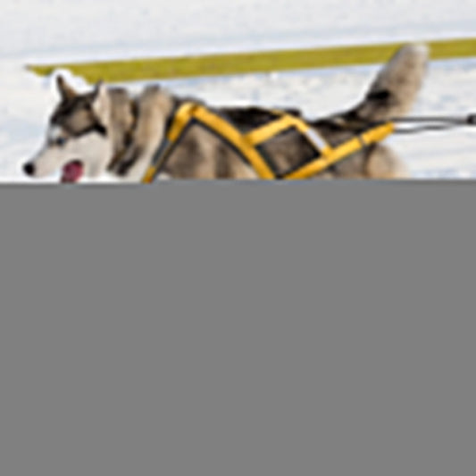 X-Back Dog Sled Harness for Husky Pulling Sports