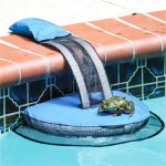 Safe Escape Ramp for Frogs and Small Animals in Swimming Pool