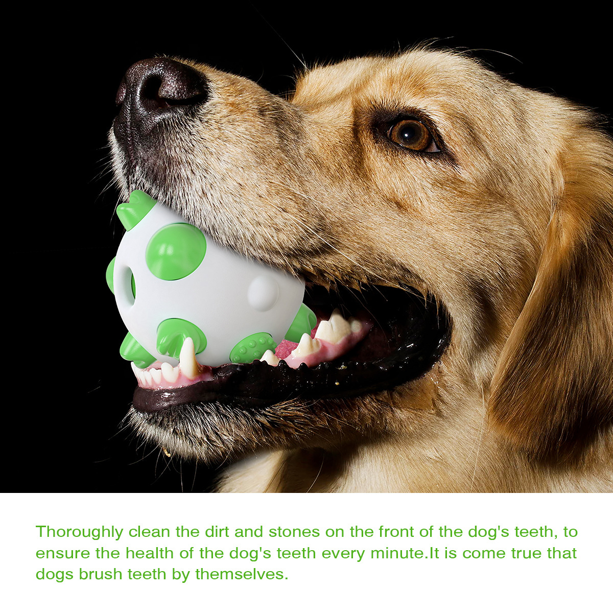 Chew-Resistant Dog Toys – Interactive Dog Puzzle Toys with Chew Ball