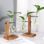 Vintage Terrarium Hydroponic Plant Vases for Home Decor