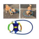 Halo Harness for Blind Dogs with Cataract – Anti-Collision Protection