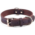 Barbour Dog Collar with Rustproof Double D-Ring