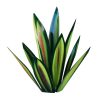 Anti-Rust Metal Tequila Agave Plant-Perfect For Garden