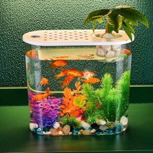 Desktop Aquarium - Planter Tank Shatterproof Home Office Decor