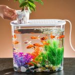 Desktop Aquarium - Planter Tank Shatterproof Home Office Decor