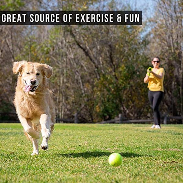 Dog Ball Launcher, Interactive Ball Thrower, Load & Launch Tennis Balls For Dogs