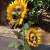 Halloween Decor Skull Sunflower - Outdoor Sunflower Decorative Stake