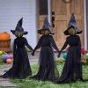 Lighted Halloween Witch Stake - Halloween Witches Decor