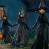 Lighted Halloween Witch Stake - Halloween Witches Decor