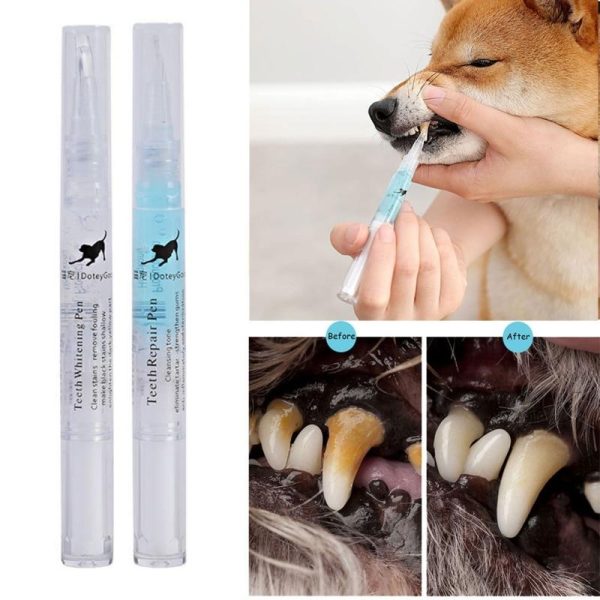 Pet Teeth Repairing Kit