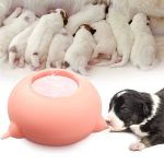 Portable Pet Milk Feeding Bowl – Puppies Nursing Station For Born Pets