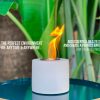 Indoor Mini Fire Pit Rubbing Alcohol - Mini Fireplace Space Heater