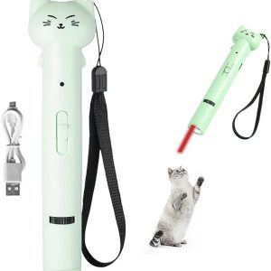 Partspower Laser Pointer Interative Cat Toy For Cats To Chase, Rechargeable Red Laser Light Pointer Exercises Training Tool For Kittens Cats Dogs (Green)