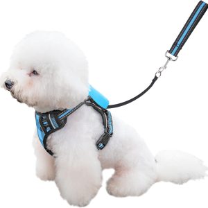 Dog Harness And Leash Set |Dog Vest Harness With 6 Ft Multifunction Retractable Dog Leash | With One-Button Control,One-Handed Brake, Tangle (S)