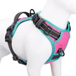 Phoepet No Pull Dog Harness, Reflective Adjustable Vest, With A Training Handle + 2 Metal Leash Hooks+ 3 Snap Buckles +4 Slide Buckles(L, Pink)