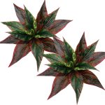 Cattree Plants Artificial Plant Outdoor Shrubs Faux Grass Plastic Leaves Greenery Bushes Home Garden Wedding Party Decorations Indoor Office Yard Uv Resistant Planter Filler Red 2 Pack