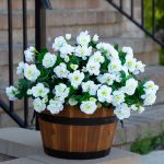 Hyeflora Artificial Faux Outdoor Flowers Plants For Spring Summer Decoration, Silk Camellia Uv Resistant Look Real For Planter Outside Front Door Porch Patio Balcony, 3 Bundles