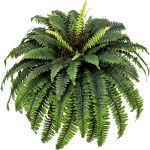 Congfuhepmui Large Artificial Ferns For Outdoor 51″ Boston Fern 66 Fronds Faux Ferns Plant Silk Greenery For Indoors Home Garden Porch Windowsill Decor (1 Stem)