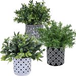 Winlyn 3-Pack Artificial Potted Plants – Faux Eucalyptus, Rosemary, Boxwood Greenery In Small Black & White Geometric Concrete Pots -Desk, Table, Shelf, Windowsill Decor For Indoor Outdoor Home Office