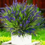 Tstweto Artificial Plants Outdoor, 22 Pcs Flowers Uv Resistant Outdoor Plants, Lavender Artificial Flowers Plastic Faux Flowers Shrubs For Home Porch Garden Yard Window Box