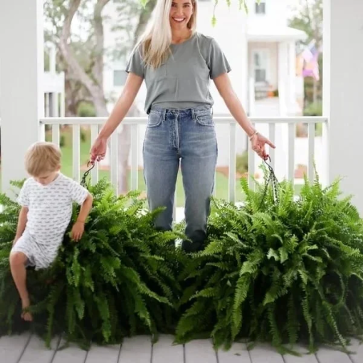 Uv Resistant Lifelike Artificial Boston Fern For Outdoors, 60 leaves 55cm