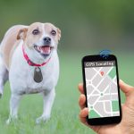 Safepet – Pet Smart Gps Tracker