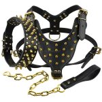 Black Golden Dog Harness Leather