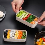 Bento Box Lunch Container