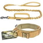 Fire Bull Dog Collar And Leash Set