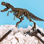 Fossilx – Archaeological Excavation Dinosaur Kit